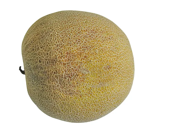 Gelbe frische Melone — Stockfoto