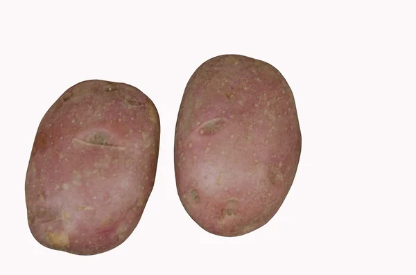 Nova rosa de batata — Fotografia de Stock