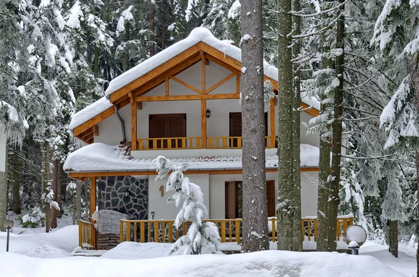 frost orman ve evin manzarası. Rila Dağı, borovetz