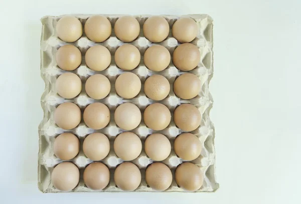 Uovo chiaro su sfondo chiaro — Foto Stock
