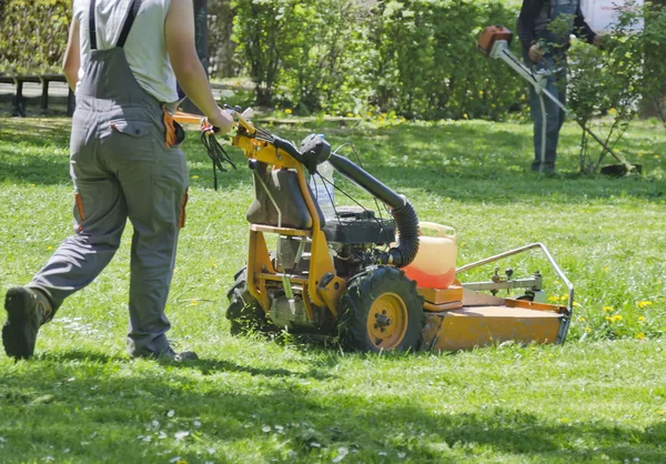 Trabalhador experiente cortar grama — Fotografia de Stock
