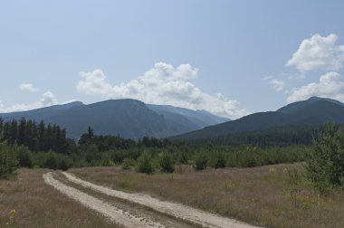 güzel renkli manzara