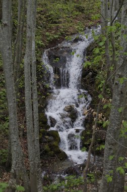 Rila Dağı açık Nehri