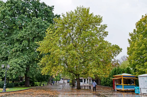 Şiddetli Yağmur Sonrasında Park Manzarası Sofya Bulgaristan — Stok fotoğraf
