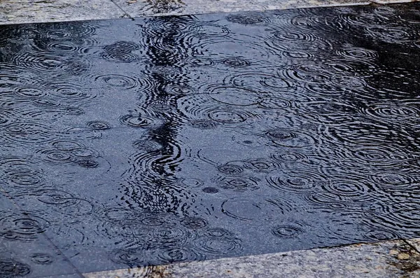 Dia Outono Chuvoso Belo Fundo Piso Molhado Com Gotas Chuva Fotografias De Stock Royalty-Free