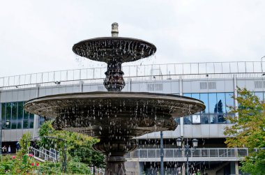 Yağmurdan sonra çeşmesi olan bir gül bahçesinin parçası, Sofya ve Bulgaristan 