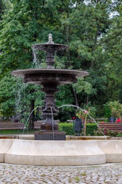 Yağmurdan sonra çeşmesi olan bir gül bahçesinin parçası, Sofya ve Bulgaristan 
