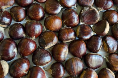 Sonbaharda taze kestane meyveleri toplayın, Sofya ve Bulgaristan  