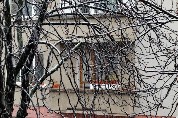Величний Вигляд Житлового Району Сильними Снігопадами Взимку Софія Болгарія — стокове фото
