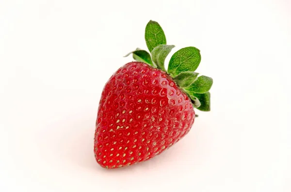 One Rich Ripe Strawberry Fruit White Background Sofia Bulgaria — Stock Photo, Image