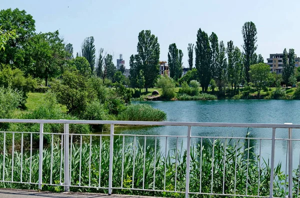 Vert Printanier Sur Lac Des Arbres Frais Dans Quartier Résidentiel — Photo