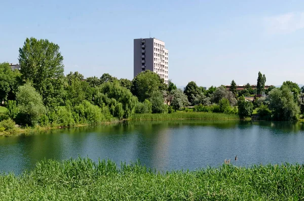 Lente Een Frisse Groene Bomen Lake Woonwijk Eastwest Sofia Bulgarije — Stockfoto