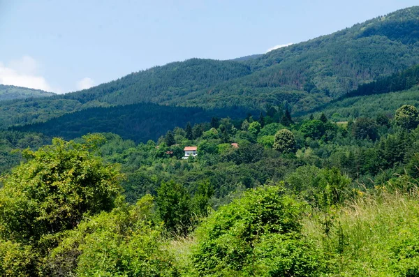 Prachtig Landschap Van Zomer Natuur Met Groene Weide Bos Plana — Stockfoto