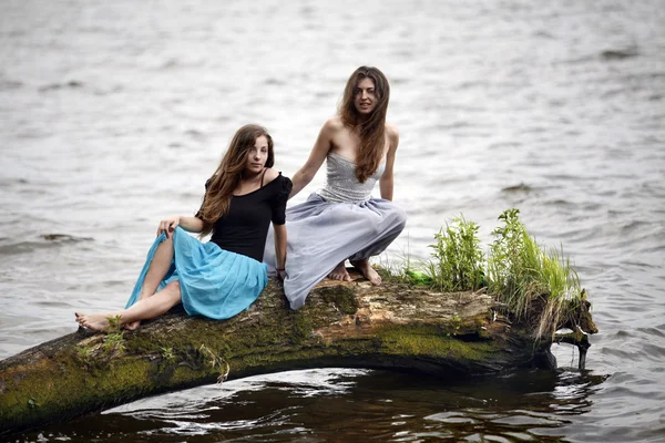 Dos hermosas chicas en un árbol — Foto de Stock