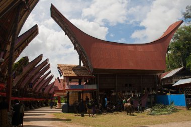 tana toraja, Endonezya geleneksel bir köyde