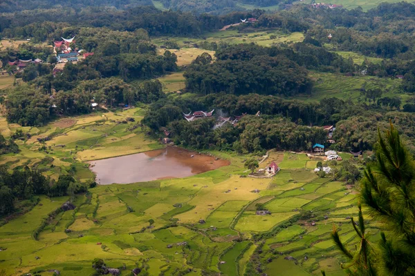 Vista de pueblos tradicionales en Tana Toraja, Indonesia —  Fotos de Stock