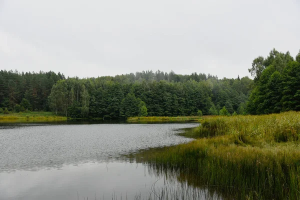 Jezero Lese Podzimního Rána — Stock fotografie
