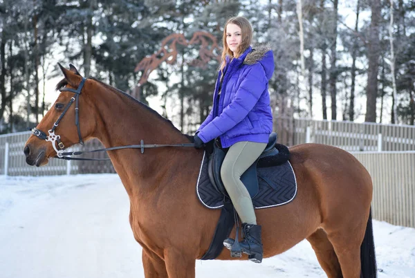 Young Girl Horse Winter Forest Road — Stock fotografie