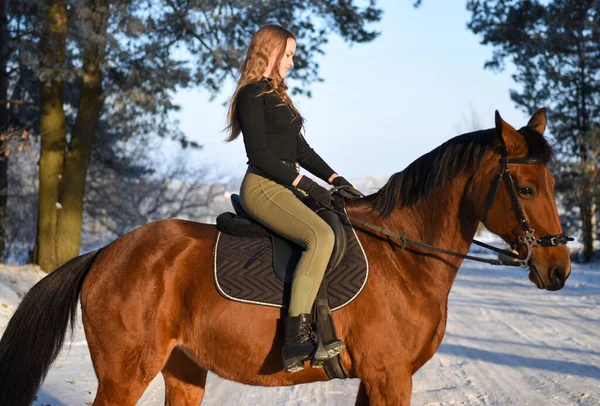 冬の森の道で馬と若い女の子 — ストック写真