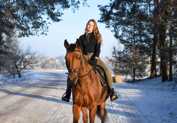 Young Girl Horse Winter Forest Road — Stock fotografie