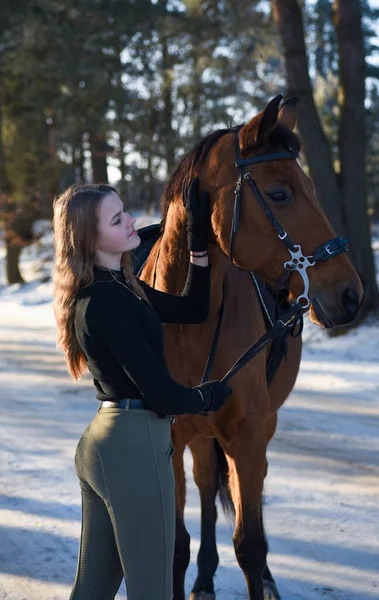 冬の森の道で馬と若い女の子 — ストック写真