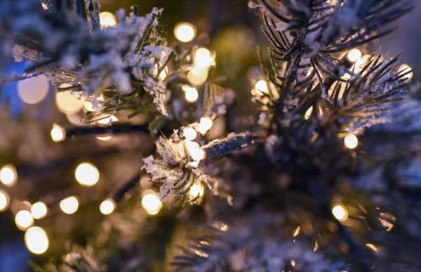 Festlicher Weihnachtsschmuck Christbaum — Stockfoto