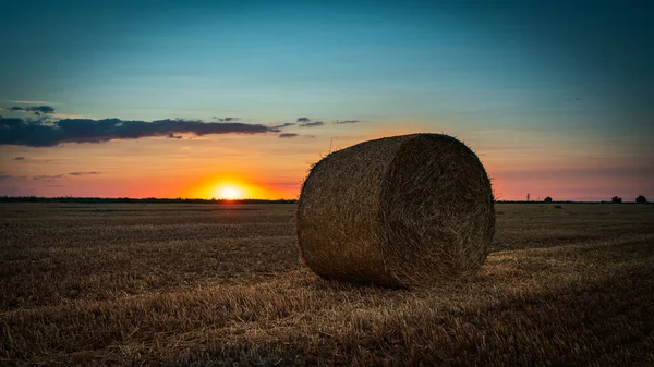 Haystacks Lie Field Sunset — Stock Photo, Image