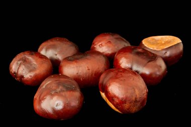 Kestaneler siyah arka planda yatıyor, çiftlik hasadı.                               