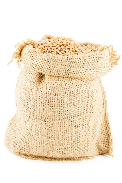 Um saco é linho preenchido por um trigo — Fotografia de Stock