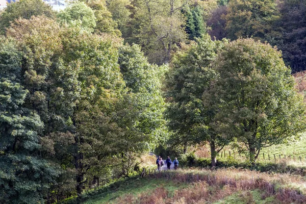 Skotský hill chodci — Stock fotografie