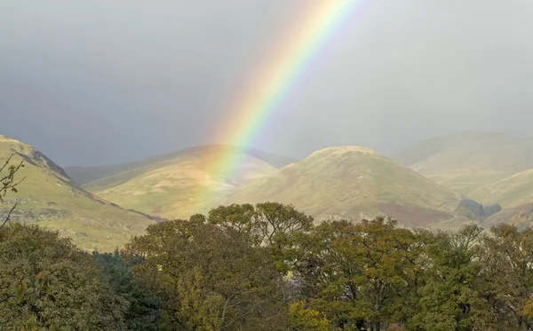 Arcobaleno sopra il bosco — Foto Stock