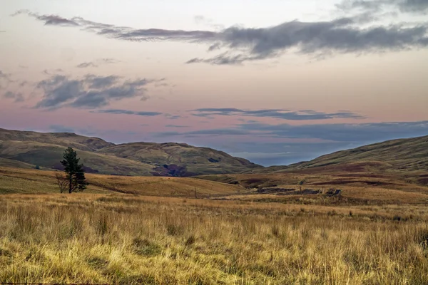 Highland pustyni — Zdjęcie stockowe