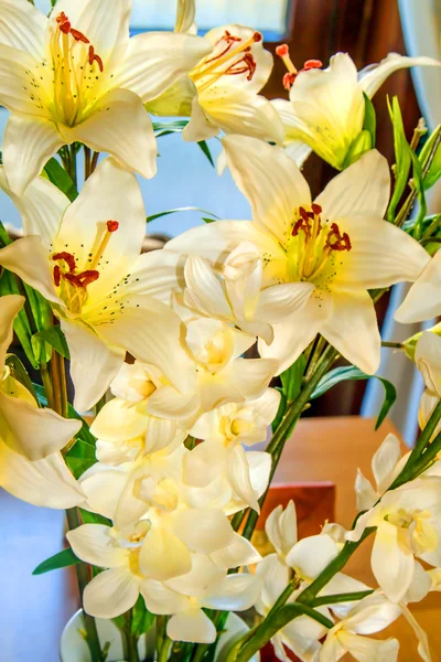 Білі квіти в цвітіння — стокове фото