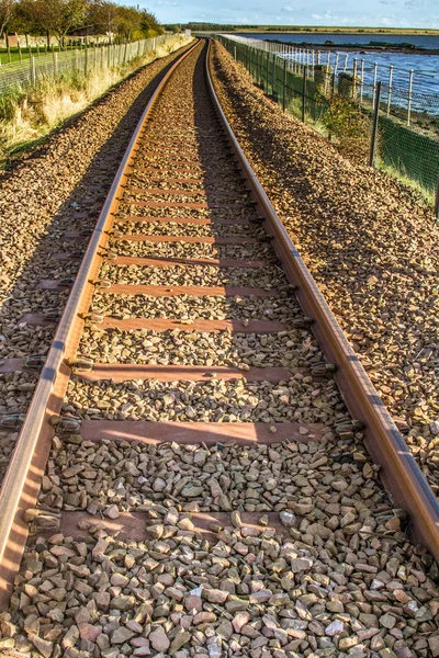 Tracks into the distance — Stock Photo, Image