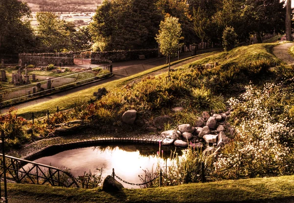 Beautiful Pond — Stock Photo, Image