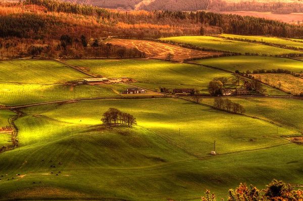 Terreni agricoli scozzesi a Perth — Foto Stock