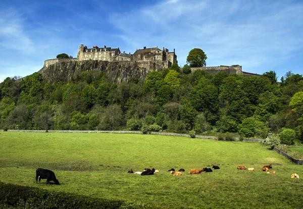 Castillo de Stirling — Foto de Stock