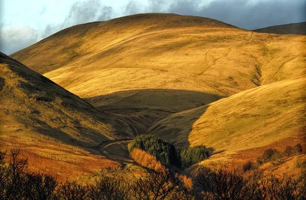 Die ockerfarbenen Hügel in Schottland — Stockfoto