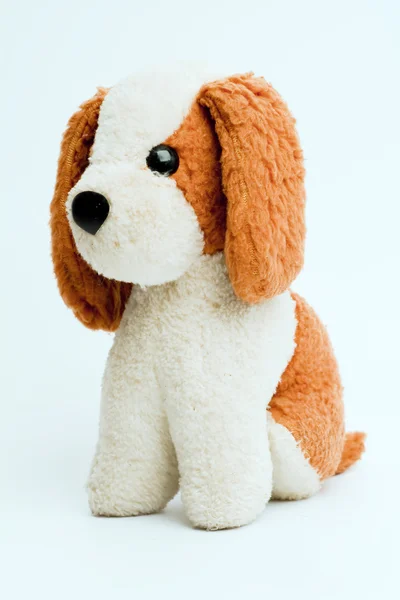 Cão de brinquedo — Fotografia de Stock