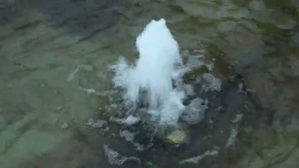 El agua brota de una fuente — Vídeos de Stock