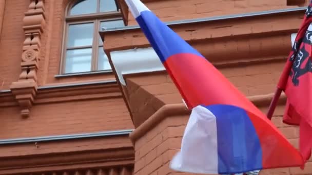 Russische Flagge — Stockvideo