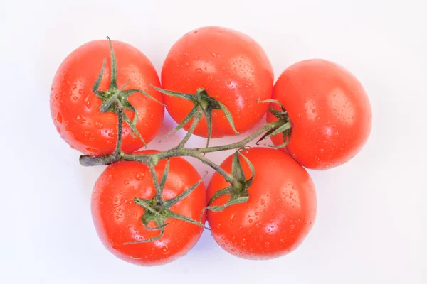 Rama con tomates rojos y frescos — Foto de Stock