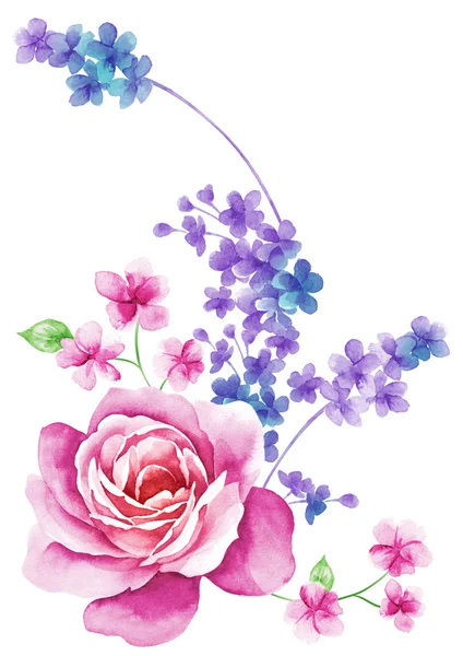 Watercolor illustration flowers — Stock Photo, Image