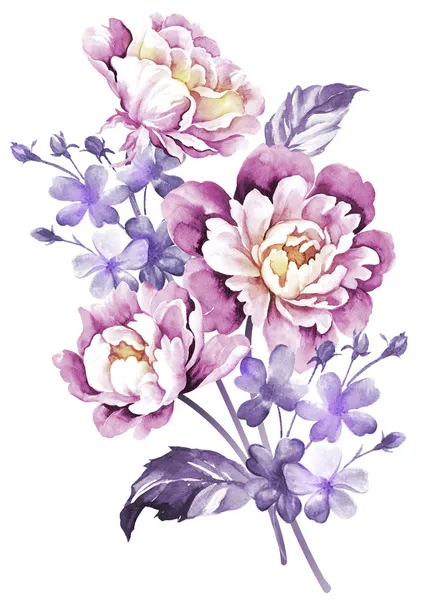 Aquarelle illustration fleurs — Photo