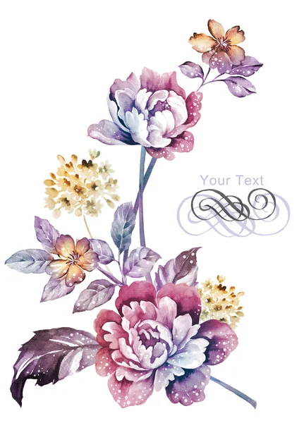 Akvarell virágok — Stock Fotó