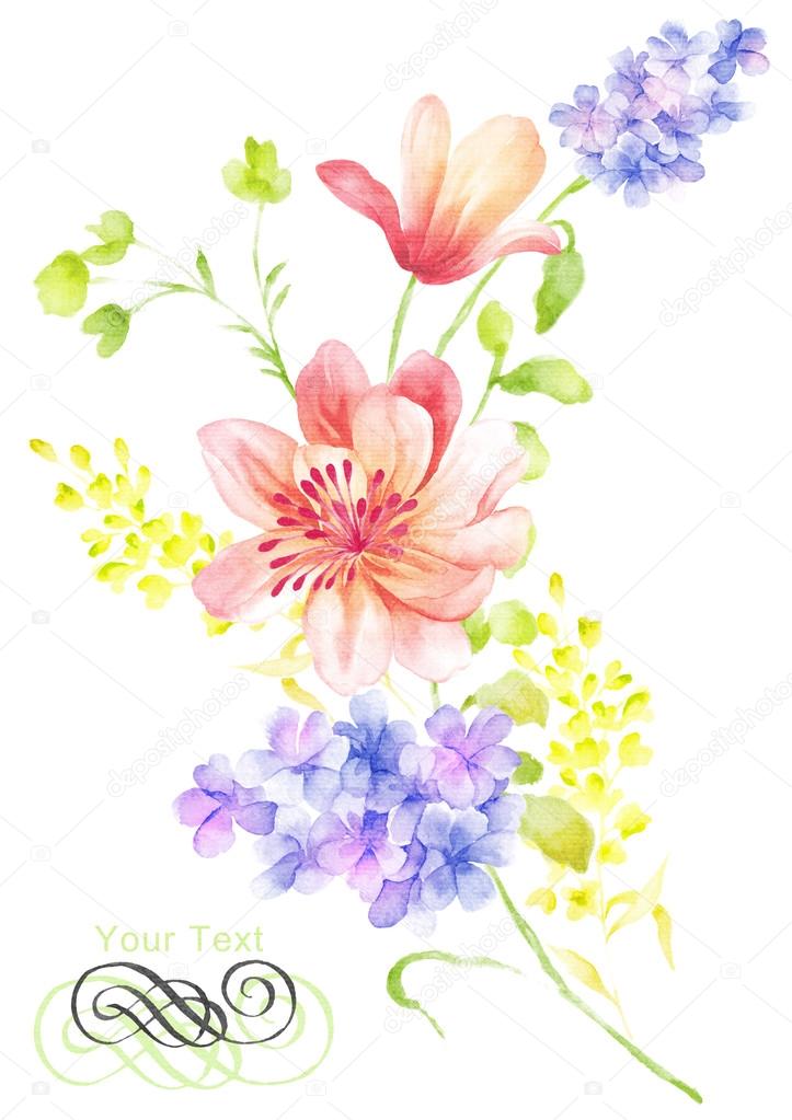 Watercolor illustration flowers