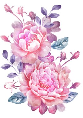 suluboya çiçek illüstrasyonu