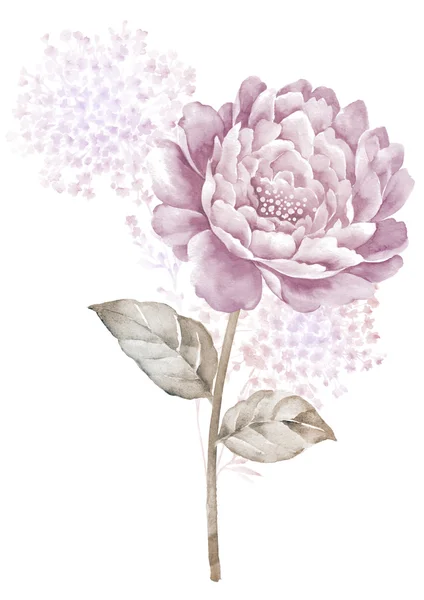 suluboya çiçek illüstrasyonu