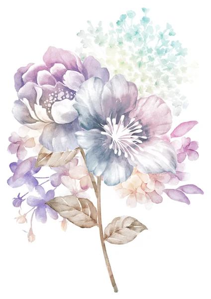 Watercolor flower illustration — Stock Photo, Image