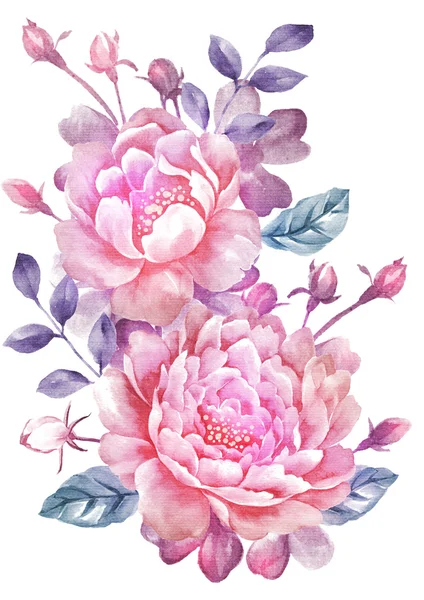 suluboya çiçek illüstrasyonu